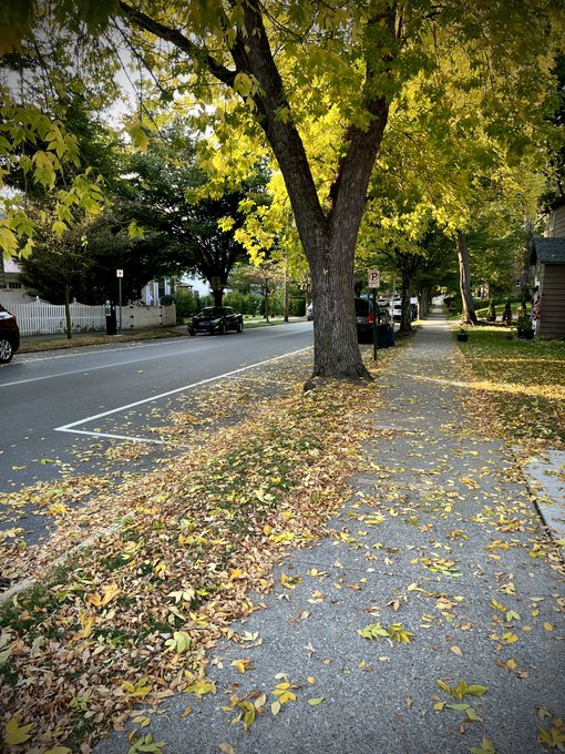 Beautiful autumn colors in Pittsburgh